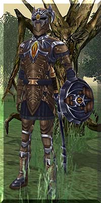 Druid Hib